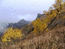 скалы на восточном склоне горы Бештау
